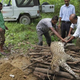 Image for article titled Indian Woman Kills Leopard In Epic Fight To The Death